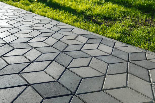 Best Driveway Paving Company  in Amargosa Valley, NV