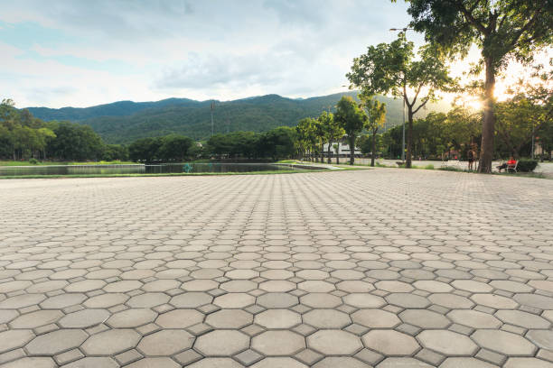 Best Affordable Driveway Pavers  in Amargosa Valley, NV
